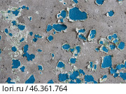 Blue peeling paint on the wall. Old concrete wall with cracked flaking paint. Weathered rough painted surface with patterns of cracks and peeling. High resolution texture for background and design. Стоковое фото, фотограф Андрей Степанов / Фотобанк Лори