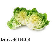 Fresh Boston lettuce on white background. Стоковое фото, фотограф Pixel_shot / Фотобанк Лори