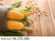Bag with fresh corncobs on wooden table. Стоковое фото, фотограф Pixel_shot / Фотобанк Лори