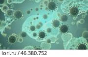 Bacteria, Viruses, Microorganisms Through Microscopic Lens. Bacterial Colony research, studies. Coronavirus. Virus Cells floating 3D animation. Sars, Mers, H1N1, flu. Viral disease epidemic. Pathogen. Стоковое AI-видео, аниматор Марина Демидюк / Фотобанк Лори