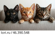Three adorable kittens looking straight at the camera while sitting on a soft sofa. The kitten is black, ginger and tabby (demanding attention and cute). All the cats have big expressive eyes and their soft paws are visible in the foreground. They look very friendly and curious, which creates an atmosphere of warmth and comfort. This image is perfect for cat and pet lovers, adding comfort to everyday life. Стоковое AI-изображение, AI-художник Анна Кривицкая / Фотобанк Лори
