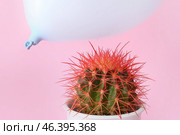 Cactus and air balloon on color background. Стоковое фото, фотограф Pixel_shot / Фотобанк Лори