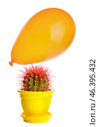 Cactus and air balloon on white background. Стоковое фото, фотограф Pixel_shot / Фотобанк Лори