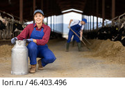 Young positive female farmer carrying milk churn near stall with cows during work on dairy farm. Стоковое фото, фотограф Яков Филимонов / Фотобанк Лори