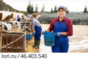 Positive woman farmer worker in uniform preparing water in buckets for taking care of calves at livestock farm. Стоковое фото, фотограф Яков Филимонов / Фотобанк Лори