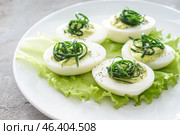 Tasty deviled eggs on plate, closeup. Стоковое фото, фотограф Pixel_shot / Фотобанк Лори