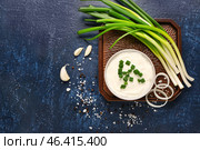 Bowl of tasty sour cream with scallion and onion on blue background. Стоковое фото, фотограф Pixel_shot / Фотобанк Лори