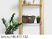 Shelving unit with basket, decor and houseplant near white wall. Стоковое фото, фотограф Pixel_shot / Фотобанк Лори