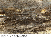 Texture of rock as background. Стоковое фото, фотограф Pixel_shot / Фотобанк Лори
