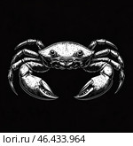 A detailed black and white graphic drawing of a crab on a black background. The crab is depicted in an aggressive pose with raised claws, its shell is detailed with fine lines, creating a textured effect. The eyes are large and expressive, and the paws are covered with small spikes, which emphasizes its predatory nature. The illustration is done in an engraving or tattoo style, with high detail and sharp contrasts. The overall style is reminiscent of the classic technique of linocut or traditional marine design. Стоковое AI-изображение, AI-художник Анна Кривицкая / Фотобанк Лори