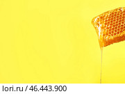 Соты на цветном фоне. Стоковое фото, фотограф Pixel_shot / Фотобанк Лори