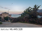 Flowering bushes and stone building in Kas after sunset. Стоковое фото, фотограф Саблин Станислав / Фотобанк Лори