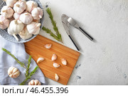 Свежий чеснок с зеленью и дробилка на белом фоне. Стоковое фото, фотограф Pixel_shot / Фотобанк Лори