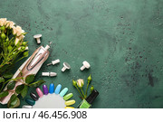 Фрезер для педикюра с кончиками ногтей на цветном фоне. Стоковое фото, фотограф Pixel_shot / Фотобанк Лори