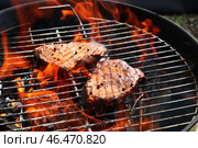 Вкусное вареное мясо на гриле. Стоковое фото, фотограф Pixel_shot / Фотобанк Лори