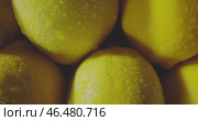 A Close Up of Fresh and Juicy Lemons That Captures Their Brightness and Natural Beauty. Стоковое видео, видеограф Владимир Ковальчук / Фотобанк Лори