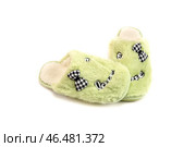 The green female slippers on a white background. Стоковое фото, фотограф Татьяна Ляпи / Фотобанк Лори