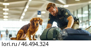 Security officer inspecting luggage with detection dog at airport terminal. Стоковое AI-изображение, AI-художник Юрий Поздников / Фотобанк Лори