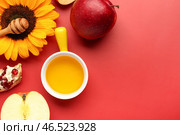Миска меда с яблоками, гранатом и подсолнечником для празднования Рош ашана (еврейский Новый год) на красном фоне. Стоковое фото, фотограф Pixel_shot / Фотобанк Лори