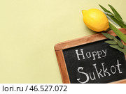Четыре вида (лулав, хадас, арава, этрог) и меловая доска с надписью СЧАСТЛИВОГО СУККОТ на зеленом фоне. Стоковое фото, фотограф Pixel_shot / Фотобанк Лори