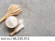 Миска и черпак с пшеничной мукой на сером грунтовом столе. Стоковое фото, фотограф Pixel_shot / Фотобанк Лори