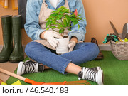 Садовница с комнатным растением в сарае. Стоковое фото, фотограф Pixel_shot / Фотобанк Лори