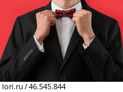 Молодой человек в выпускном костюме поправляет бант на красном фоне, крупным планом. Стоковое фото, фотограф Pixel_shot / Фотобанк Лори