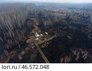 Дачные домики и участки, выгоревшие во время природного пожара. Стоковое фото, фотограф Кирилл Кухмарь / ТАСС / Фотобанк Лори