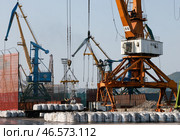 Портальные краны на территории грузового универсального терминала морского торгового порта (2022 год). Стоковое фото, фотограф Юрий Смитюк / ТАСС / Фотобанк Лори