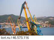 Портальные краны на территории морского торгового порта (2022 год). Стоковое фото, фотограф Юрий Смитюк / ТАСС / Фотобанк Лори