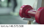 Dumbbells as a symbol of accessible sports for all ages and fitness levels. Стоковое видео, видеограф Владимир Федоров / Фотобанк Лори