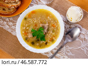 Popular dish of Russian cuisine is pickle soup with meat, cooked on basis of pickled cucumbers and pearl barley or rice, decorated with sprig of parsley. Стоковое фото, фотограф Яков Филимонов / Фотобанк Лори