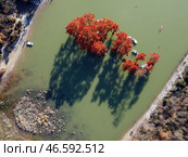 Краснодарский край. Кипарисы на озере Сукко. Стоковое фото, фотограф Марина Лысцева / ТАСС / Фотобанк Лори