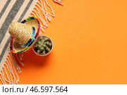 Мексиканское сомбреро с кактусом и клеткой на оранжевом фоне. Синко де Майо. Стоковое фото, фотограф Pixel_shot / Фотобанк Лори