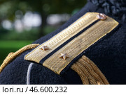 Погоны на форме военнослужащего. Стоковое фото, фотограф Владимир Гердо / ТАСС / Фотобанк Лори