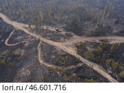 Сгоревшая во время лесного пожара техника коммунальных служб. Стоковое фото, фотограф Александр Рюмин / ТАСС / Фотобанк Лори