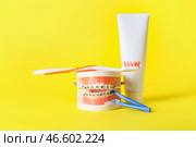 Модель челюсти с брекетами, зубной щеткой, пастой и зубными инструментами на желтом фоне. Стоковое фото, фотограф Pixel_shot / Фотобанк Лори