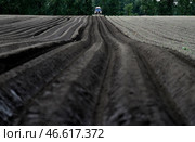 Трактор во время окучивания картофеля. Стоковое фото, фотограф Кирилл Кухмарь / ТАСС / Фотобанк Лори