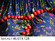 Плетение бус из яблок. Стоковое фото, фотограф Владимир Смирнов / ТАСС / Фотобанк Лори