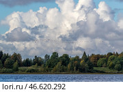 Архангельская область. Стая гусей над Носовским озером. Стоковое фото, фотограф Илья Тимин / ТАСС / Фотобанк Лори
