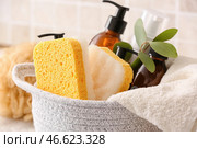 Корзина с мочалками, веткой эвкалипта, полотенцем и косметическими средствами, крупным планом. Стоковое фото, фотограф Pixel_shot / Фотобанк Лори