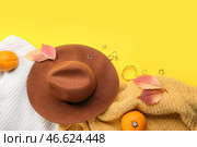 Вязаные свитера, фетровая шапка, украшения и осенний декор на цветном фоне. Стоковое фото, фотограф Pixel_shot / Фотобанк Лори