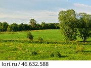 Countryside landscape in June in Russia. Стоковое фото, фотограф Володина Ольга / Фотобанк Лори