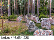 Stone debts of the Mannerheim lines on the Karelian Isthmus. Стоковое фото, фотограф Владимир Ушаров / Фотобанк Лори