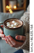 Person holding a mug of hot chocolate with marshmallows. Стоковое AI-видео, аниматор Sergey Grishin / Фотобанк Лори