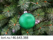 Игрушка на новогодней елке. Стоковое фото, фотограф Александр Полегенько / ТАСС / Фотобанк Лори