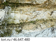 Текстура камня в качестве фона. Стоковое фото, фотограф Pixel_shot / Фотобанк Лори
