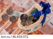 Монеты в игрушечной люльке на фоне банкнот номиналом 5000 российских рублей. Стоковое фото, фотограф Сергей Елагин/Бизнес Online / ТАСС / Фотобанк Лори