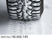 Шипованная автомобильная шина. Стоковое фото, фотограф Александр Манзюк / ТАСС / Фотобанк Лори
