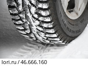 Шипованная автомобильная шина. Стоковое фото, фотограф Александр Манзюк / ТАСС / Фотобанк Лори